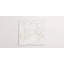 Forage 24" x 24" Matte-1885087859