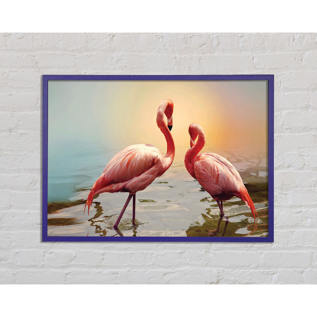 Flamingo Sonnenuntergang Gerahmter Druck Wandkunst