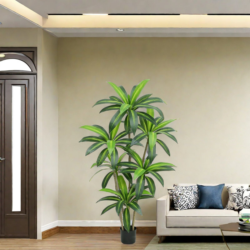 Annetraud 150cm Plant
