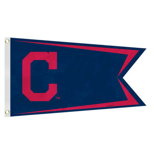 Double Sided 14'' H x 15'' W Nylon House Flag