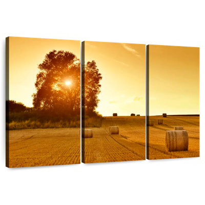 Hay Bales In The Field