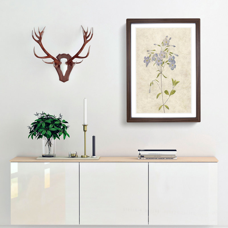 Lilac Phlox Flowers by Pierre-Joseph Redoute - Picture Frame Painting Print, 36cm H x 27cm W x 2cm D, Walnut Framed
