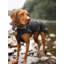 Breakwater Bay Dog Robe-559158228