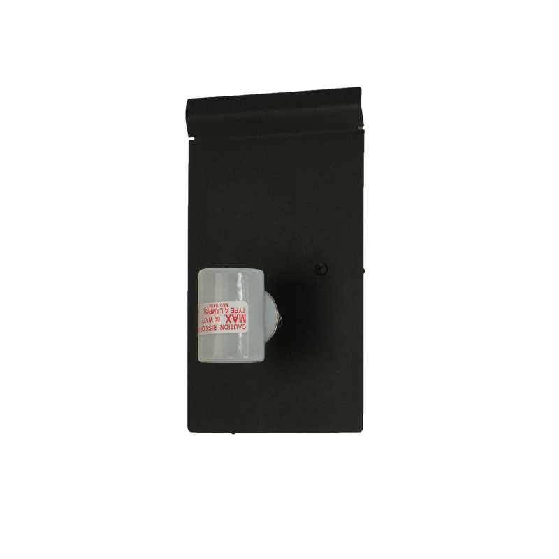 Rustic Lodge 2 - Light Flush Mounted Sconce, Black