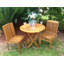 Greg Outdoor Teak Dining Side Chair