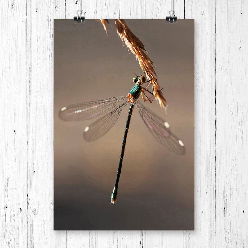 No Frame Print, 59.4cm H x 42cm W