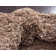 Rodolphe Performance Indoor Rug