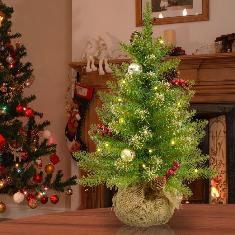 christmas tree with red white and green lights