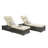 Outdoor Chaise Lounges With Adjustable Backrest And Storage For Outside-10660851