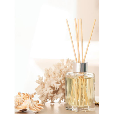 Driftwood & Sage Fragrance Oil