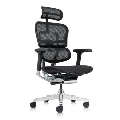 Fauteuil de bureau Ergohuman ME7ERG
