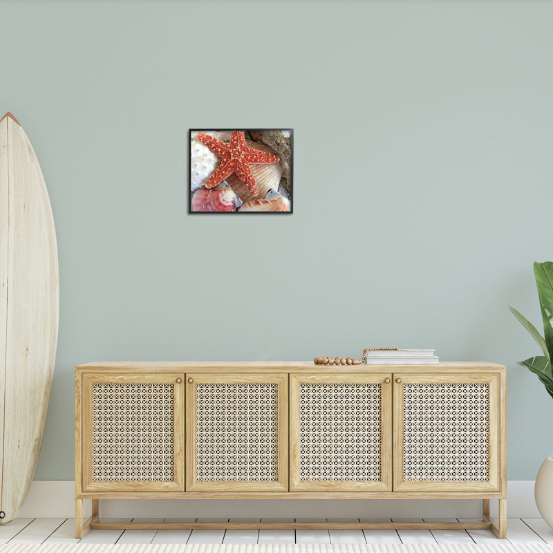 «Divers Seashells Ashore», estampe numérique par GraffiTee Studios, Giclée encadrée noir minuit, H 16 po x l 20 po