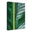 « palm leaf closes », reproduction de photo sur toile