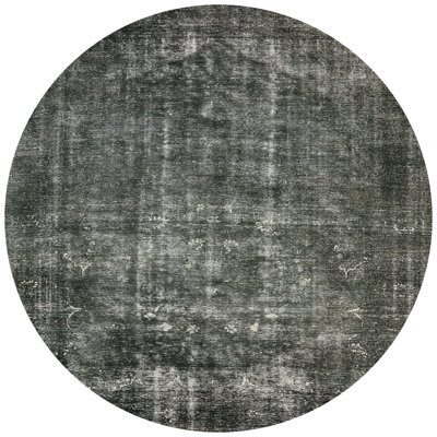Janicki Oriental Indoor Rug