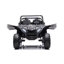 Voiture Dune Buggy-62260393