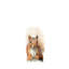 Happy Squirrel - Wrapped Canvas Painting-1078617843