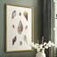 Knorr Shells & Coral IX, reproduction encadrée - bois massif-260051524-260051525