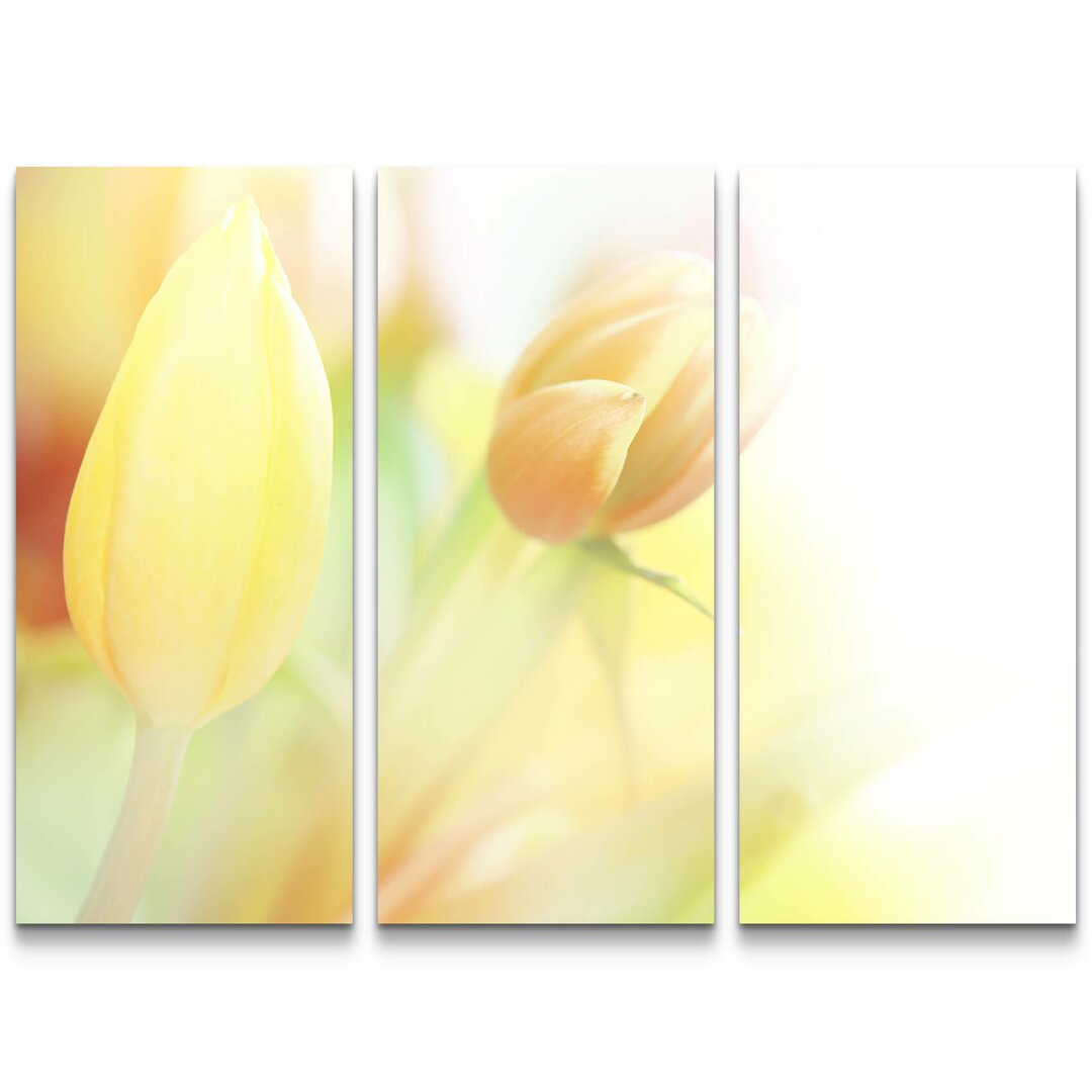 3-tlg. Leinwandbilder-Set Zarte gelbe Tulpen