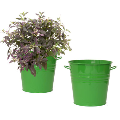 Maynard Metal Pot Planter
