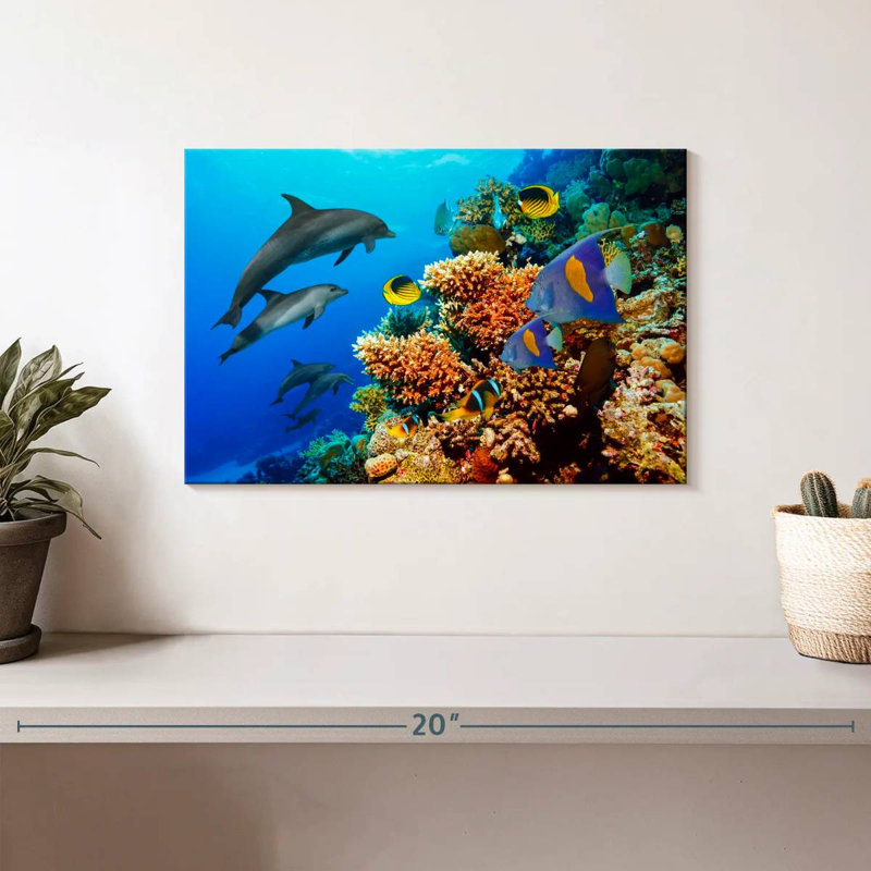 Reef Sea Life, 8" H x 12" W