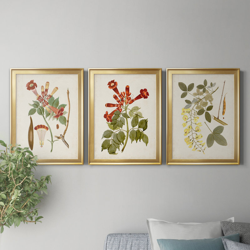 «Vintage Flowering Trees V», ensemble de 3 cadres photo sur toile, Toile avec cadre doré, H 18,5 po x l 73,5 po x P 1,5 po