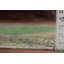 Tapis traditionnel vert 6 x 9