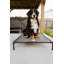 Lit pour chien Cooling-1431216284