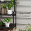 Display Cabinet