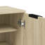 Shoe Cabinet for 12 Pairs of Shoes-735428738