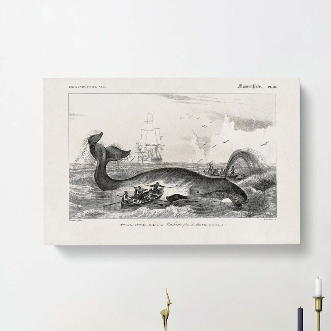 Hunting a Bowhead Whale by Charles D' Orbigny - Wrapped Canvas