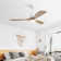 Ceiling Fan with LED Lights