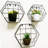 Wolsingham 3 Piece Hexagon Metal Accent Shelf