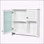 Armoire murale polyvalente avec miroir et plusieurs tablettes pour un rangement efficace