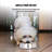 Anti Ant Pet Single Bowl-13945737