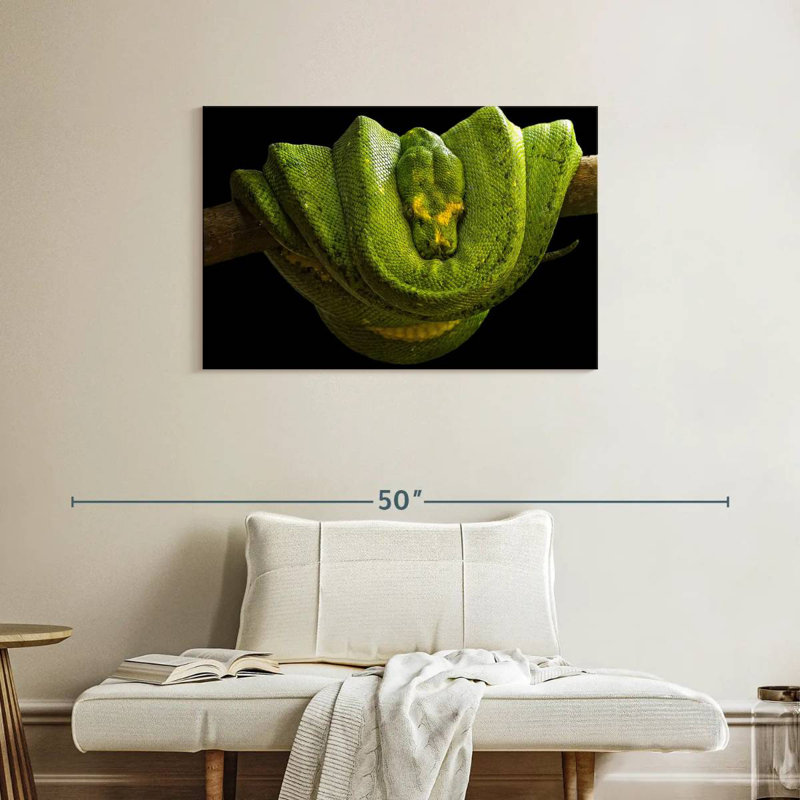 Green Boa Constrictor, 24" H x 36" W