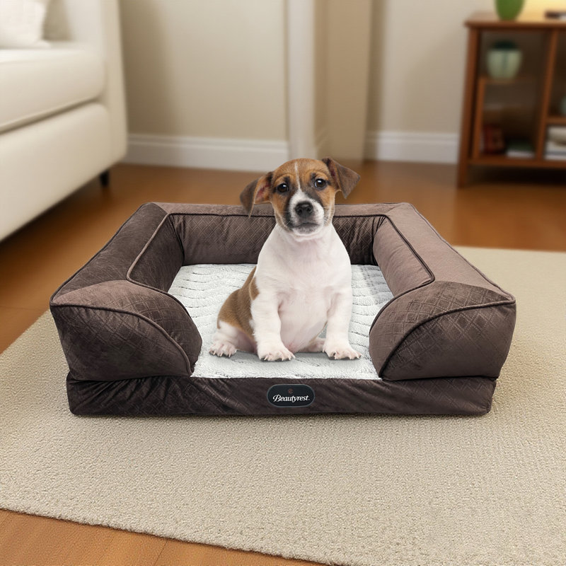 Lit pour animaux Supreme Comfort Couch, Moyen (l 26 po x P 22 po x H 8 po), Brun