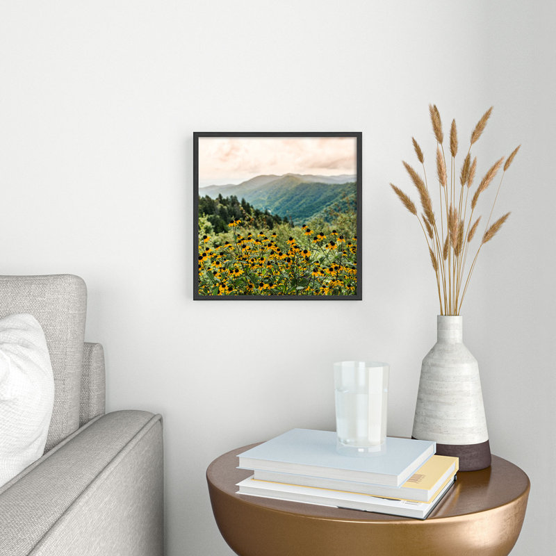 «Smoky Mountains National Park» par Nature Magick - reproduction de cadre photo, H 10 po x l 10 po x P 1 po, Noir