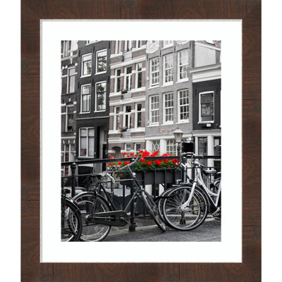 Domonica Brown Picture Frame with Mat