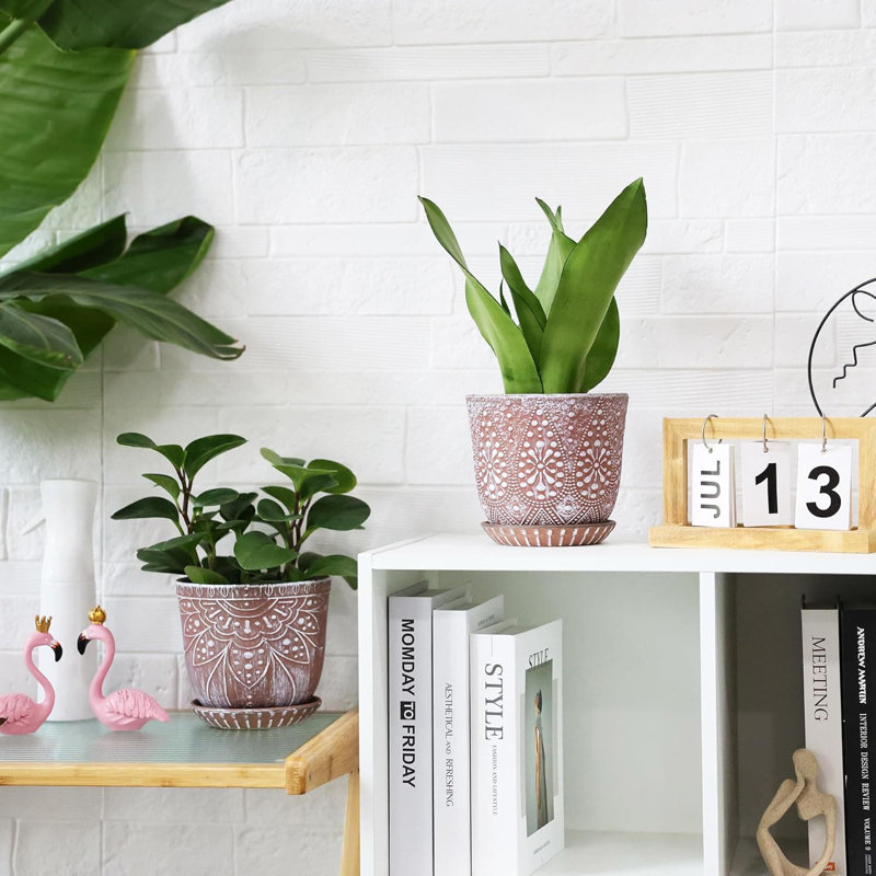 Ceramic Pot Planter