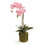 Conservatory Orchid Faux Floral