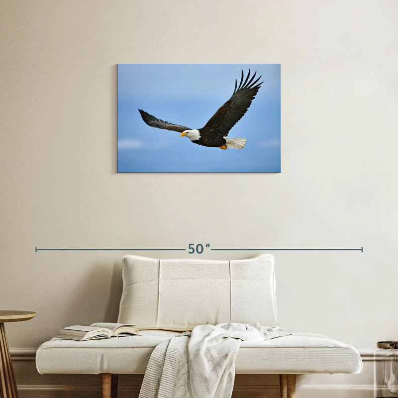 Gliding Bald Eagle, 20" H x 30" W