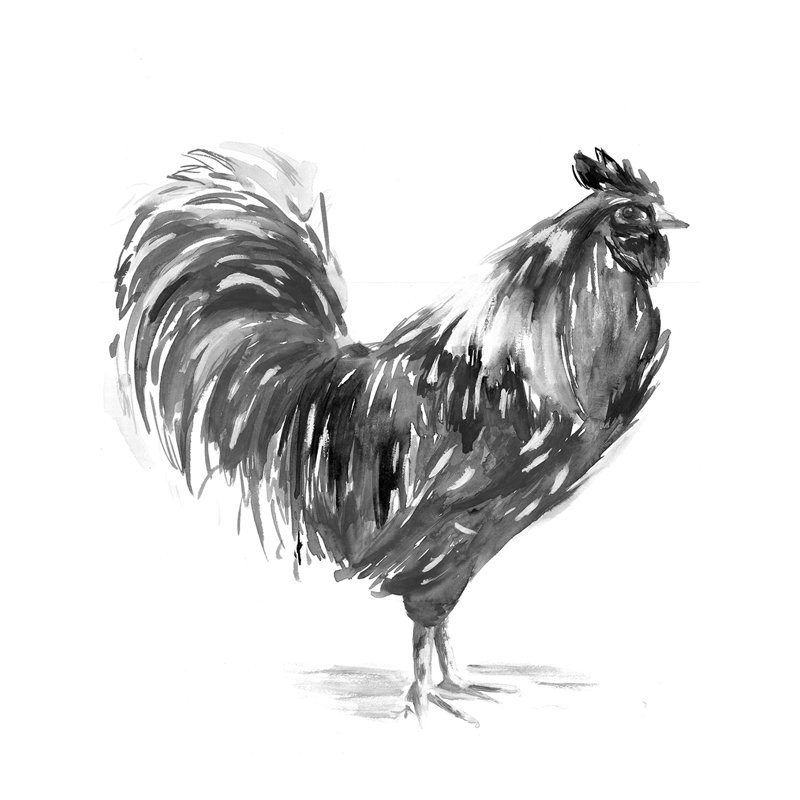 Grey Watercolour Rooster - Wrapped Canvas Painting, 30cm H x 30cm W x 3.8cm D