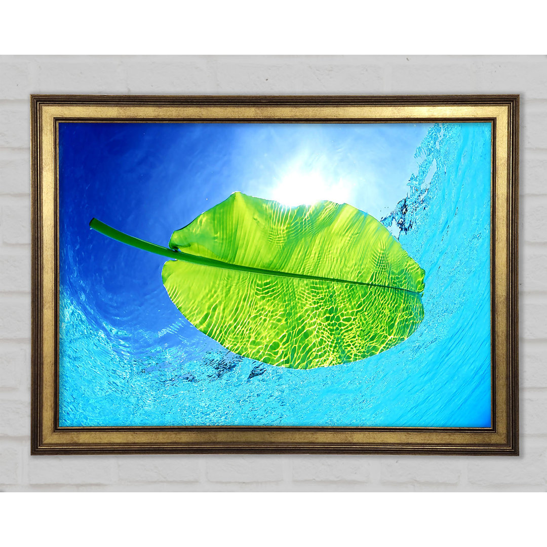 Blue Waters Of A Green Leaf Gerahmter Druck