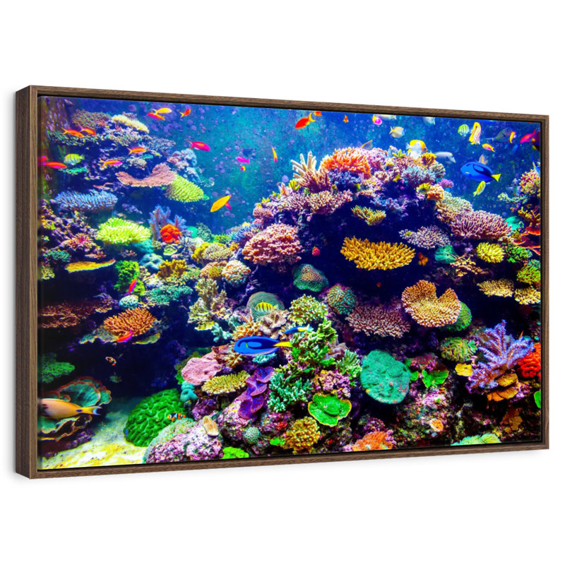 Aquarium de Singapour, récif de corail, Cadre flottant en noyer, 40 po x 27 po