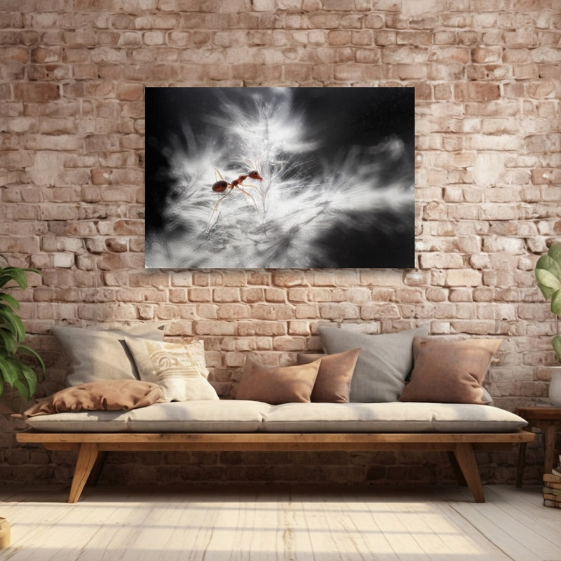Red Ant On Dandelion Seed Delicate Dreamy Ethereal Ant Dandelion Nature Wall Art Print 1 Piece Wrapped Canvas Wall Art