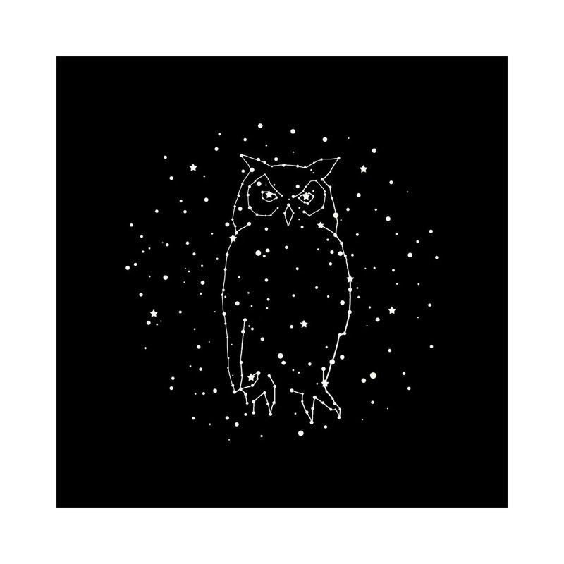 Owl Constellation by Terry Fan - Gallery-Wrapped Canvas Giclée on Canvas, Canvas, 93.98 cm H x 93.98 cm W