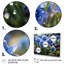 Blue Bonnets Field Photo VI - impressions sur toile florales-91491266-91491259