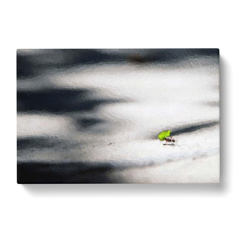 Worker Ant - Wrapped Canvas Painting, 35cm H x 50cm W x 3cm D