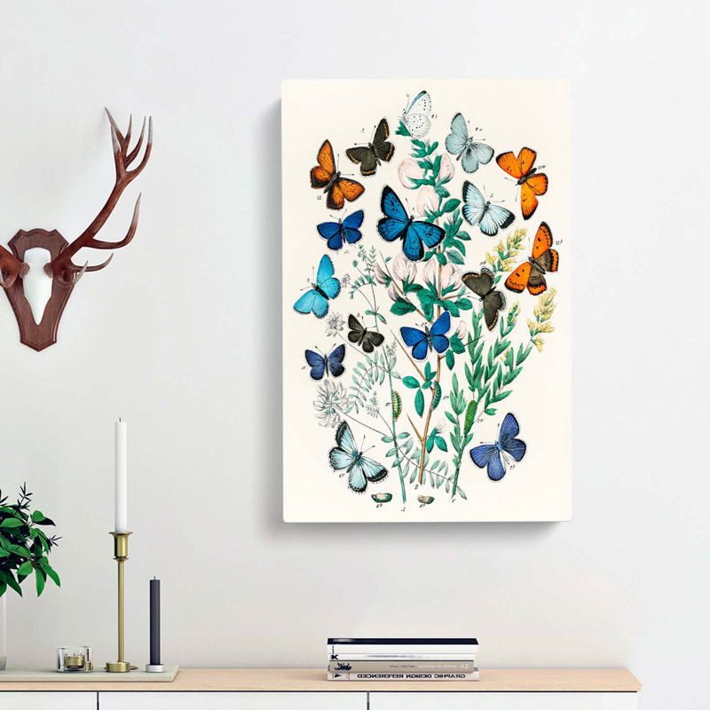 Butterflies and Moths by W.F. Kirby - Wrapped Canvas, 50cm H x 35cm W x 3cm D