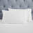Brandon Cotton Three-Line Embroidered Deep Pocket Bed Sheet Set by Superior-110843110-100469535